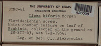 Image Associated With the Occurence